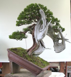 After many hours wiring