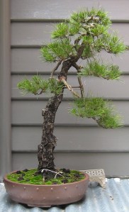 After a basic wiring.