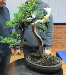 The Juniper before the demonstration