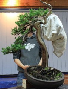 The result at the end of the demo.