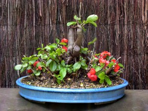 After a hard cutback.