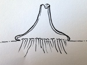 Incorrectly pruned root base.