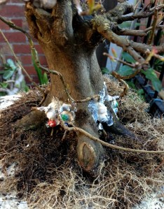 The four new grafts.