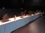 IMG_4875 (2)