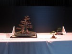 IMG_4876 (2)