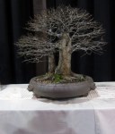 IMG_4883 (2)