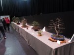 IMG_4886 (2)