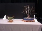 IMG_4888 (2)