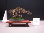IMG_4890 (2)