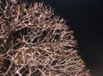 IMG_4899 (2)