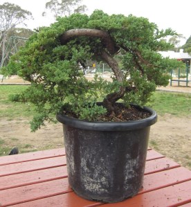 Prior to any work from the other side.