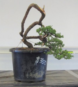 The "finished" result.