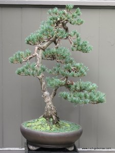 after a seasons growth