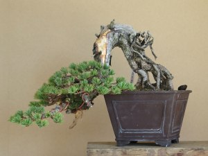 Where i thought the tree was finished.